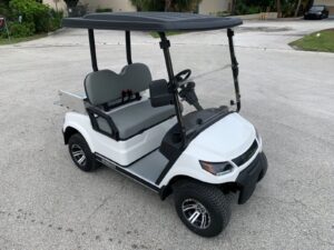 2 seater EV utility electric golf cart