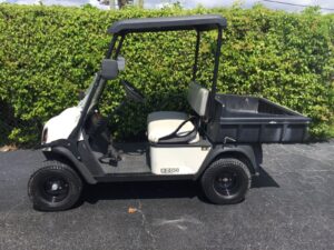 2016 ezy-go utility cart