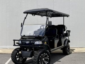 6 seater eveolution electric golf cart